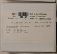 Image Associated With the Occurence